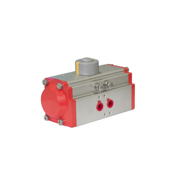 Pneumatic Actuator