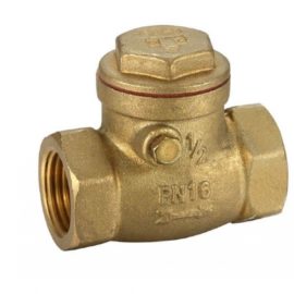 Swing Check valve